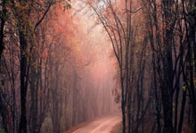 蓝鲸体育:姆巴佩:我们知道球队有一个在点球大战中能带来不同的门将.