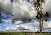 蓝鲸体育:走下领奖台,一切从零开始!潘展乐的演讲好通透人民日报微博.