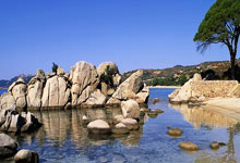 关注 | 安赛龙接受背伤手术暂别赛场 奥运三连冠是其终极目标.